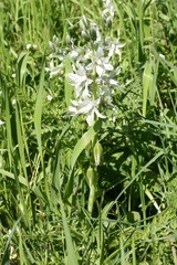 Killikus&reg; Fotographie